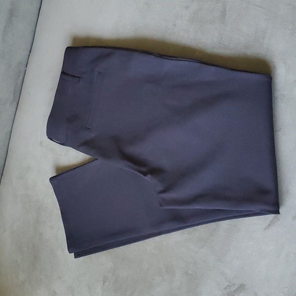Never worn Quince pants